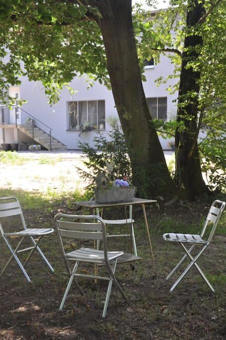 Gite St Nicolas Ancien Corps De Ferme Horticole Freyming-Merlebach エクステリア 写真